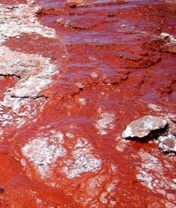 red-lagoon-chile-البحيرة الحمراء-1[6]